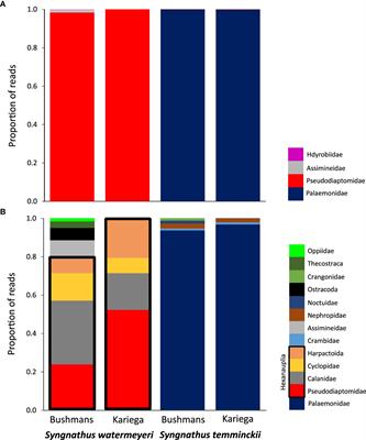 eDNA metabarcoding vs metagenomics: an assessment of dietary competition in two estuarine pipefishes